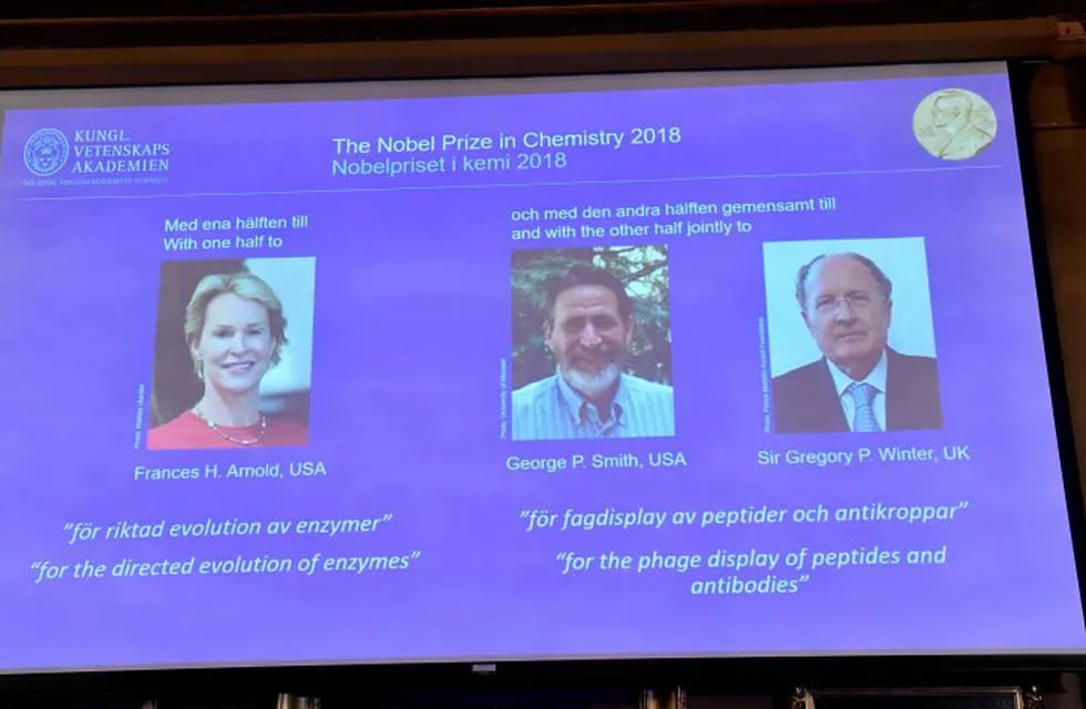 Arnold, Smith y Winter ganaron el Nobel de Química por el desarrollo de proteínas. (AP)