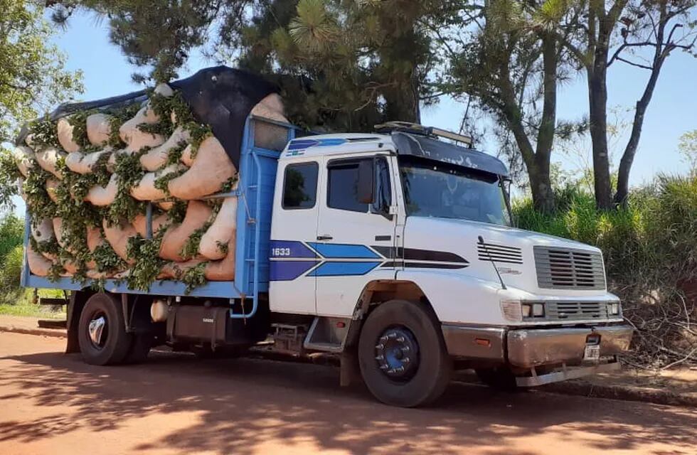 Colonia Victoria: secuestran un camión que transportaba 109 raídos de hoja verde de yerba mate