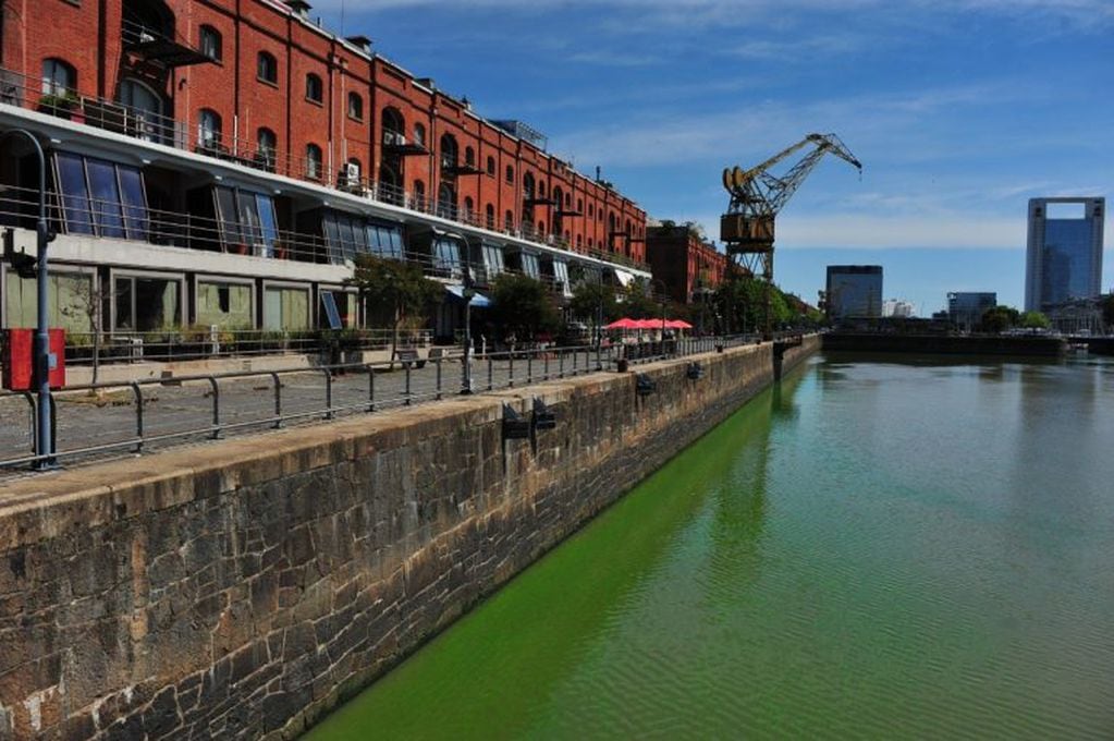 Agua verde en Puerto Madero. (Clarín)