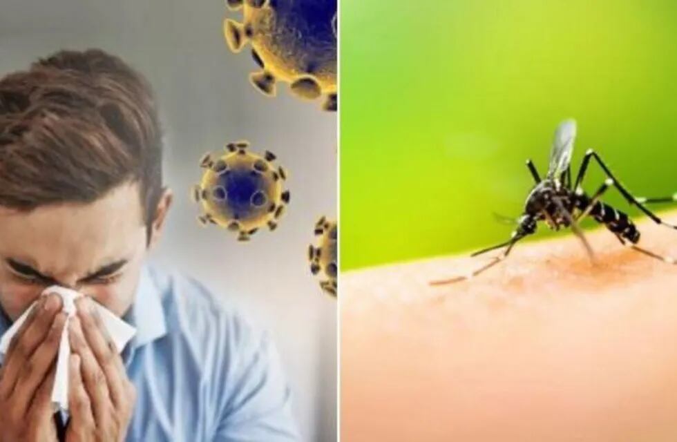San Luis confirmó un nuevo caso de coronavirus y dos de dengue.