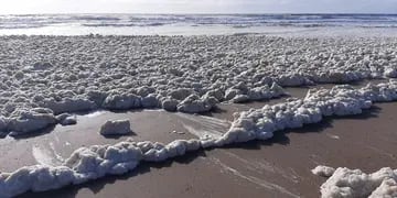 Las playas de Punta Mogotes amanecieron llenas de espuma por un fenómeno natural