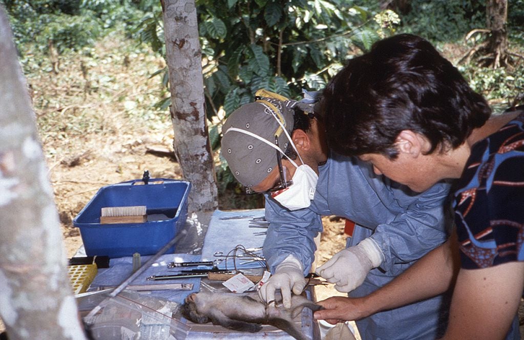 En la foto, investigación sobre un brote de viruela símica en los '90.