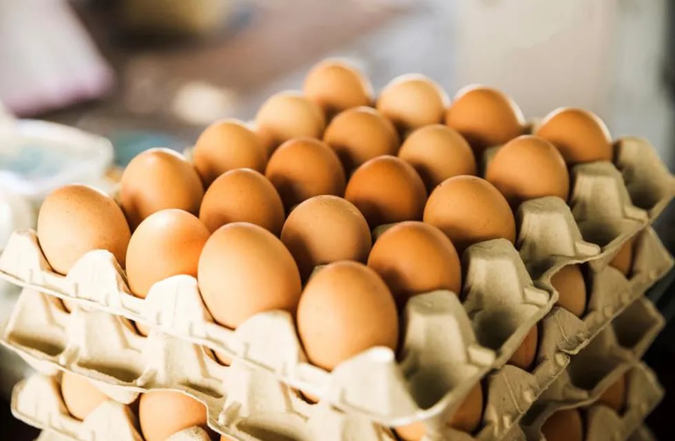 Boicot al huevo: no comprar por dos semanas debido a la suba desmedida de precios