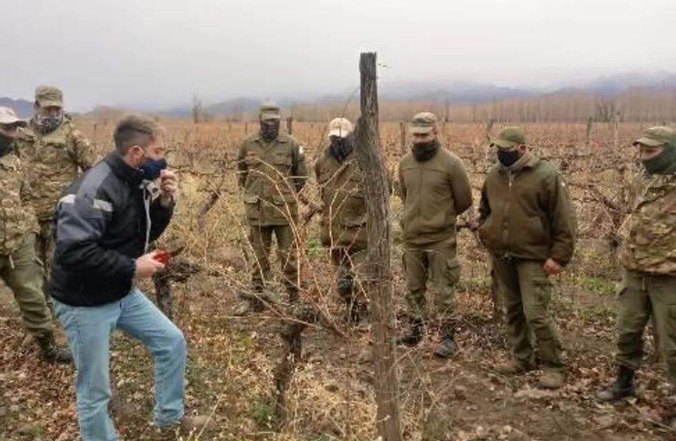 Soldados de de Campo Los Andes, recibieron un curso de poda de vid.