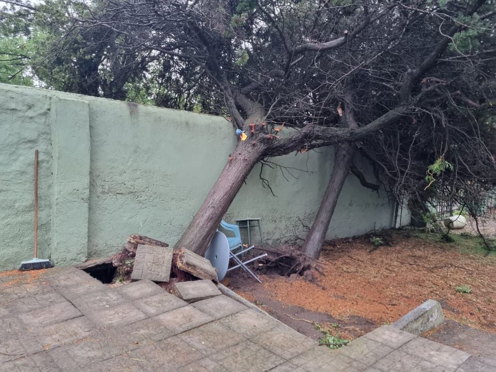 Destrozos en  Costa Sud a causa del temporal