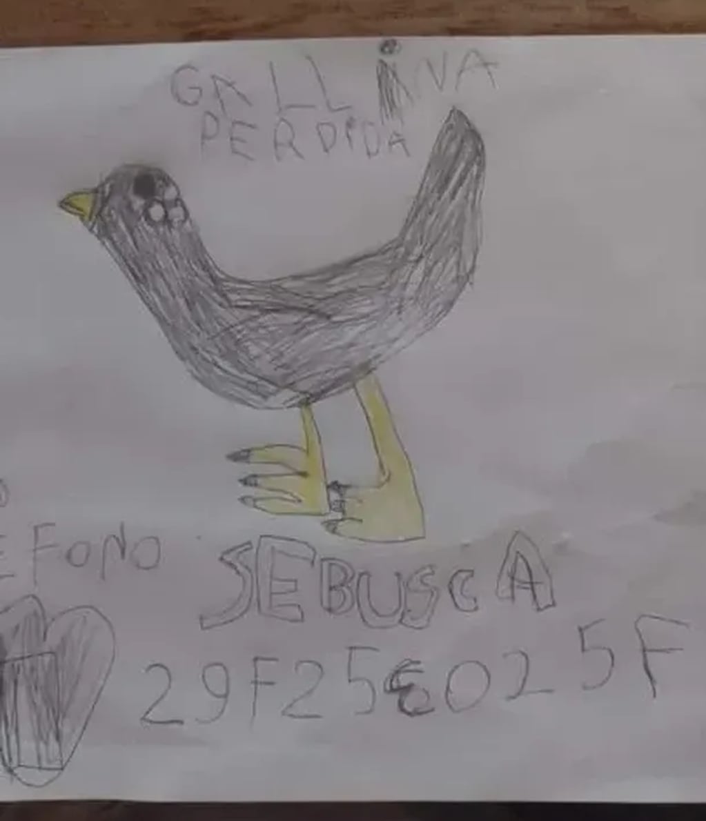 Una niña perdió su gallina y la encontró a través de un dibujo.