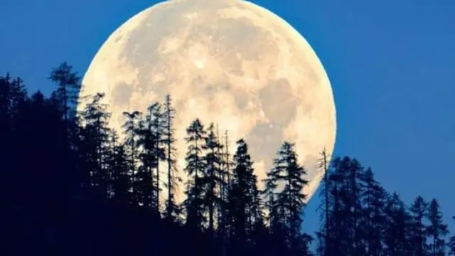 Luna llena de Acuario