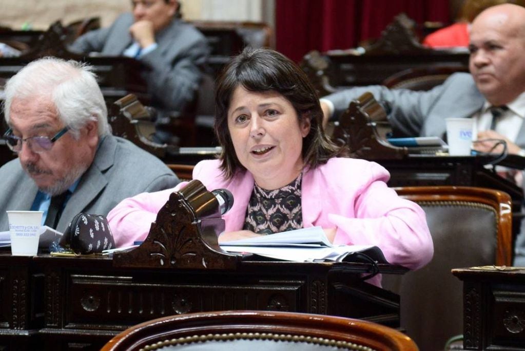 La diputada entrerriana Carolina Gaillard, presidenta de la Comisión de Juicio Político