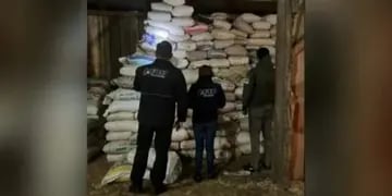 Secuestran toneladas de soja en allanamientos simultáneos en El Soberbio, 2 de Mayo y Eldorado