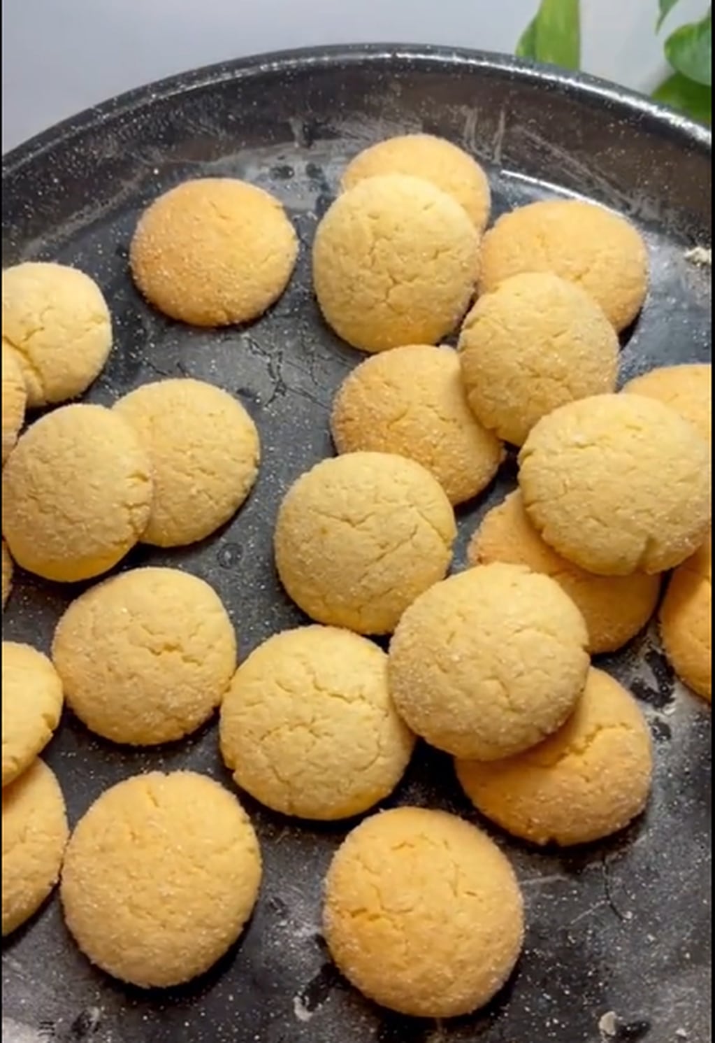 Cómo hacer galletitas de limón