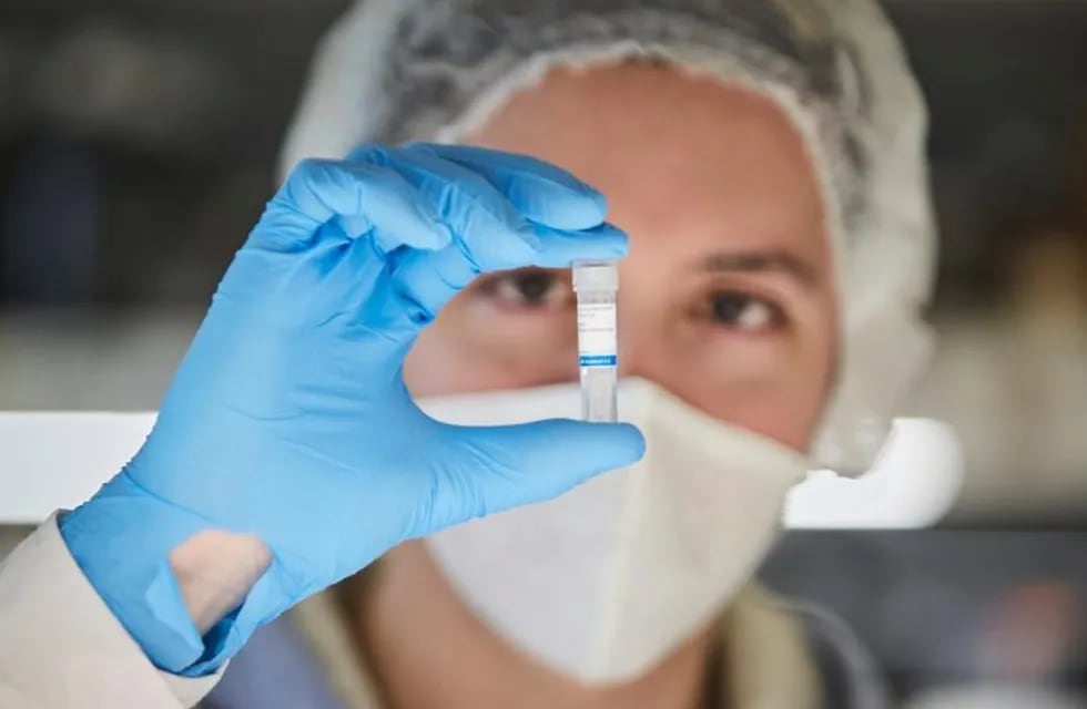 Científicos argentinos desarrollaron un segundo kit diagnóstico de coronavirus (Foto: Presidencia)