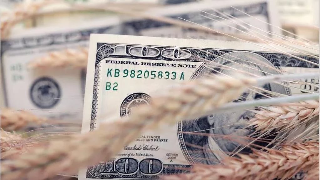 El Gobierno presentó el dólar "agro", una medida para incentivar la liquidación de la soja, pero que no convenció al sector. 