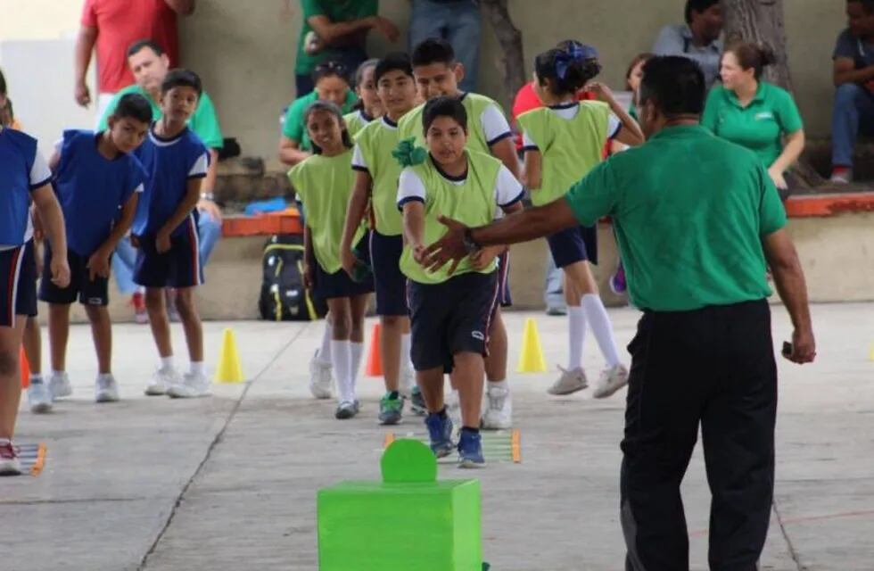 Profesores de educación física