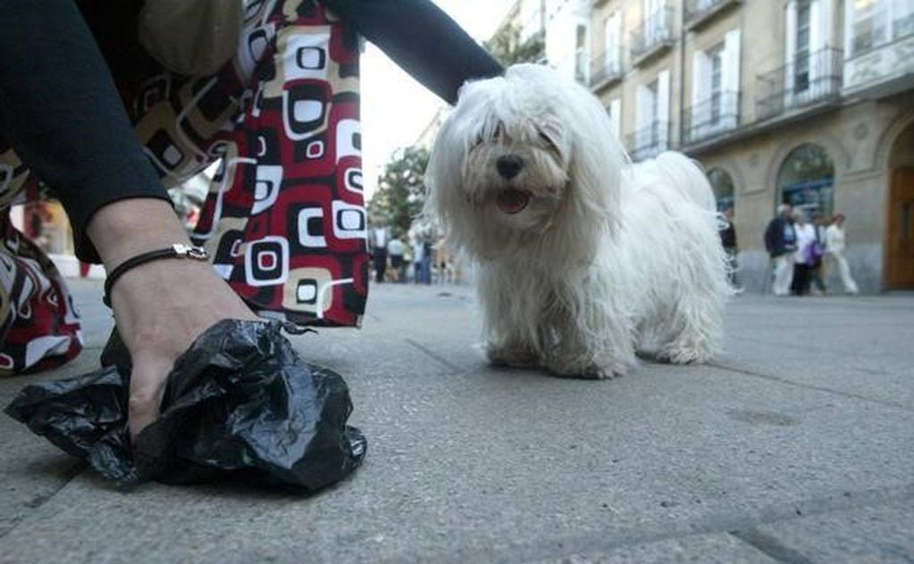 Llevar una bolsa para levantar las haces de los perros en los paseos callejeros se trata de una obligación que, mayoritariamente, se incumple.