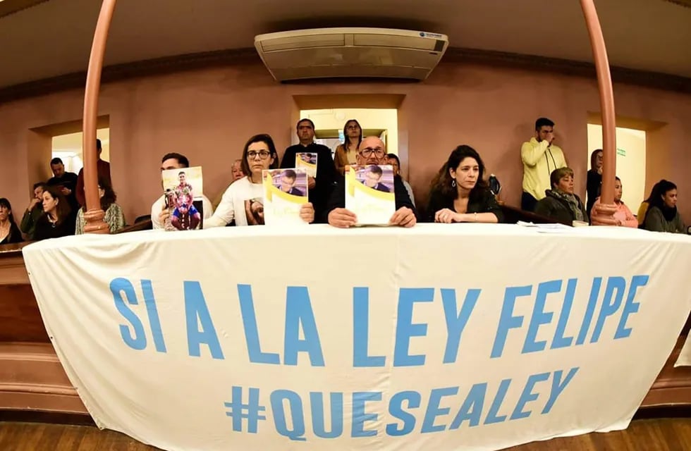 Ley Felipe obtuvo media sanción en la Cámara de Diputados de Entre Ríos.