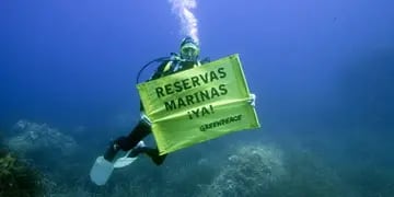 Greenpeace informó que el frente del Mar Argentino está “sitiado” por una flota de barcos extranjeros