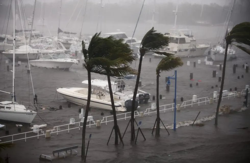 El huracán Irma hizo estragos en Miami. Reuters.