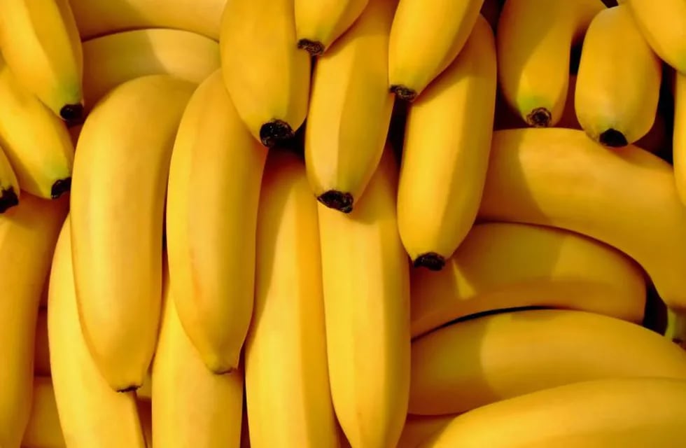 Las bananas que se dejan a temperatura ambiente son propensas a madurar más rápido