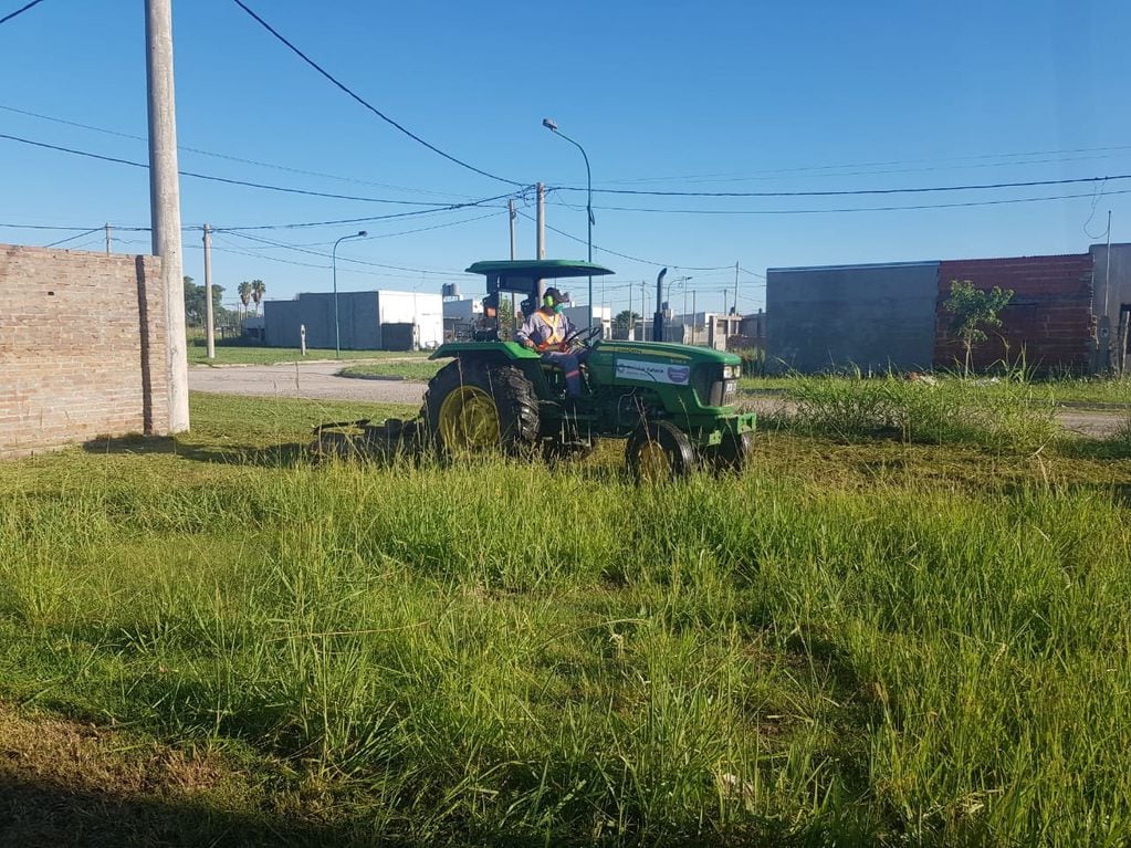 Sigue el desmalezado para evitar alimañas