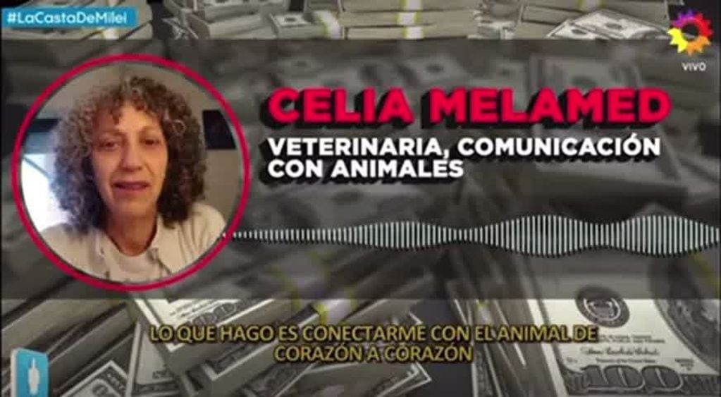 Celia Melamed, la médium de los perros de Javier Milei, habló por primera vez desde aquella entrevista con Periodismo Para Todos. (PPT)