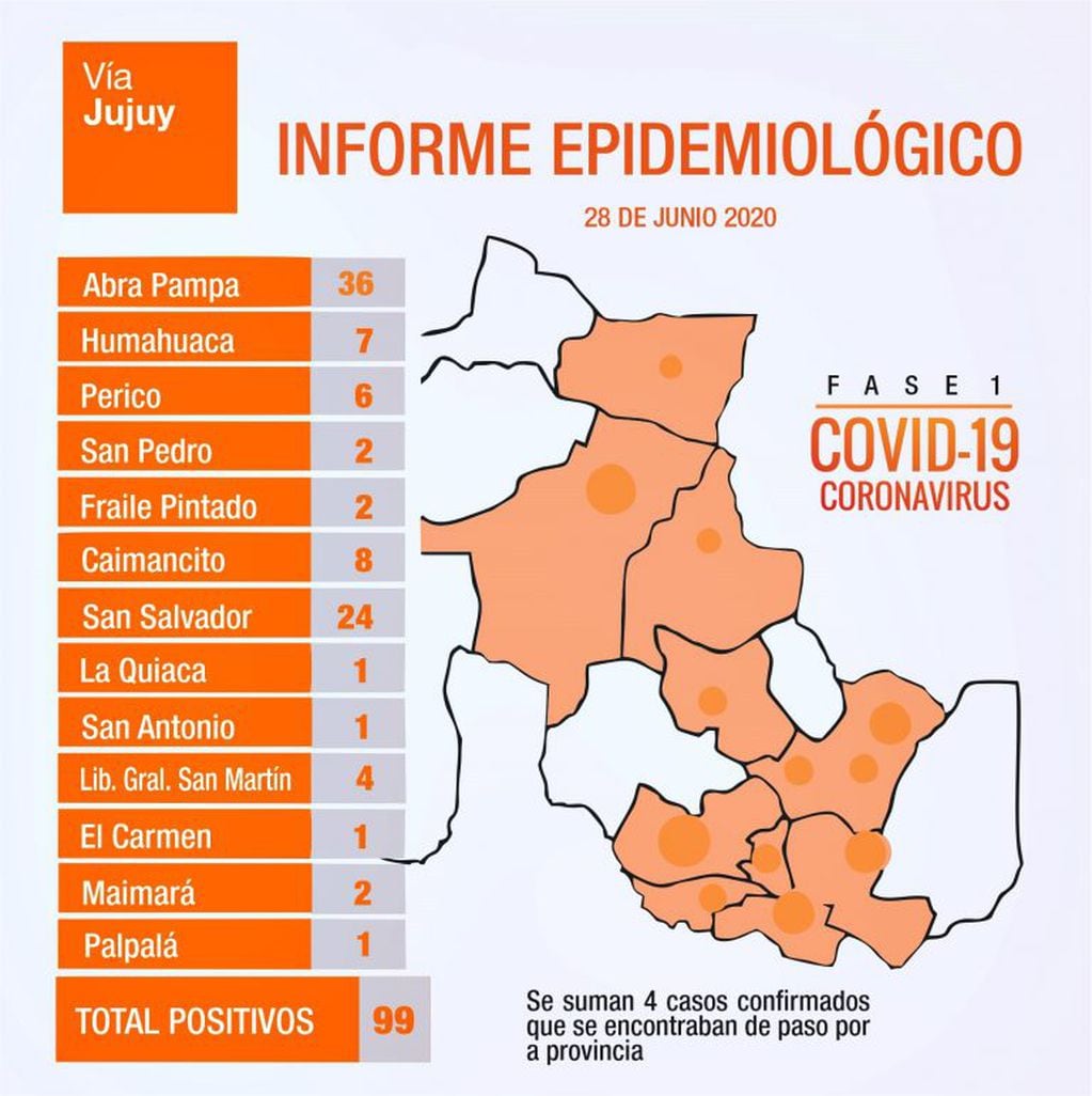 Infografía que muestra la distribución de casos en Jujuy, por su localización