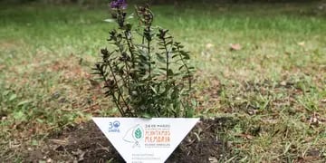 La Universidad Nacional de la Patagonia Austral adhirió a la campaña de Derechos Humanos y plantó arbustos