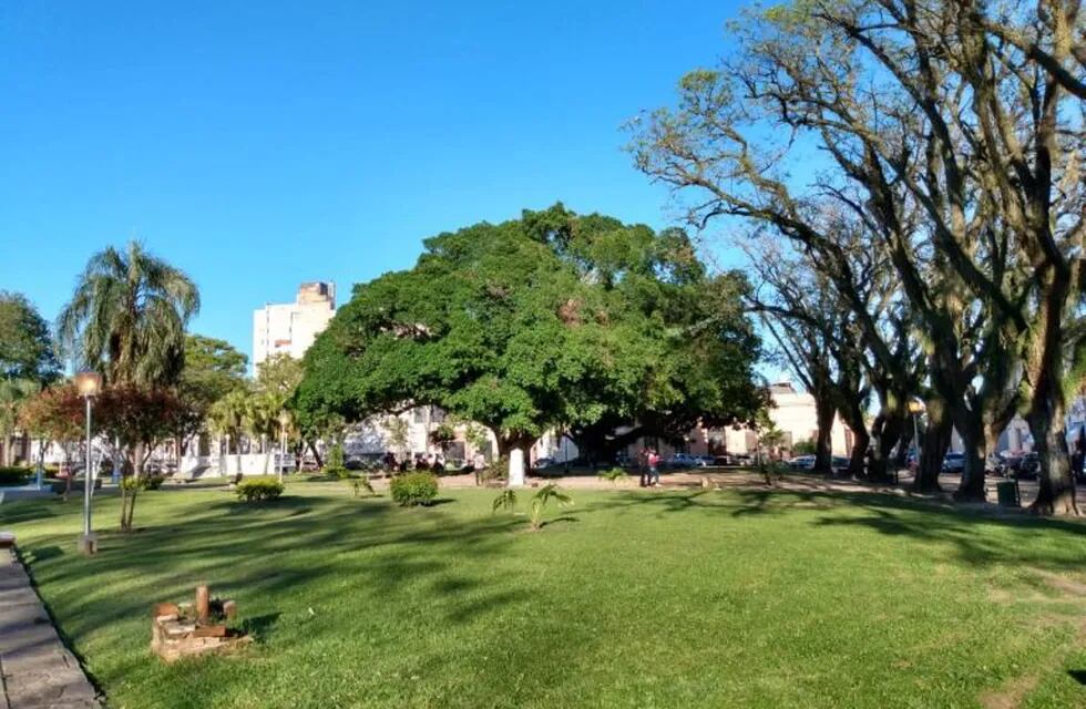 Mañana con el cielo despejado