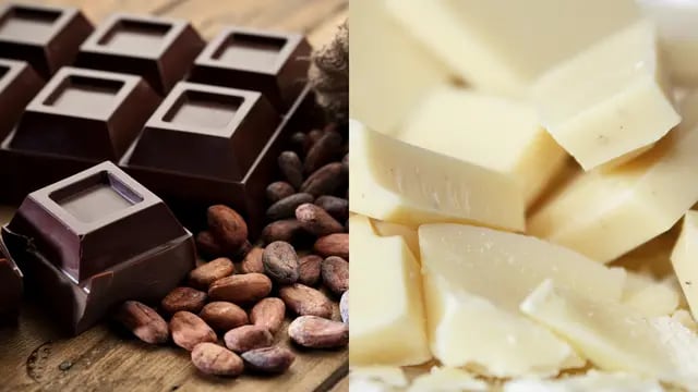 Día del cacao: cuál es la diferencia entre el chocolate blanco y el negro