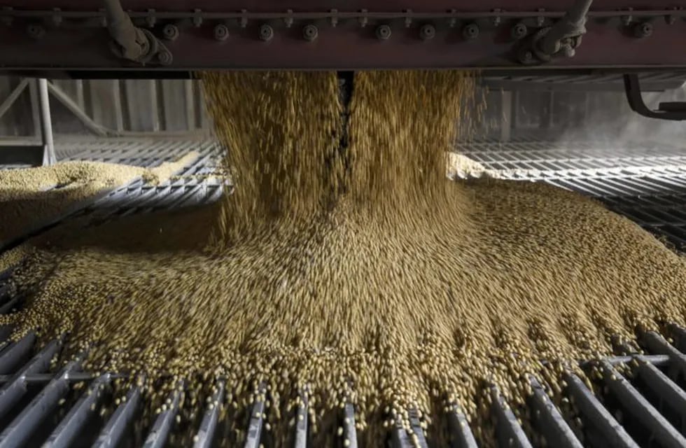 La harina y los pellets de soja fueron el principal producto embarcado en San Lorenzo. (AFP)