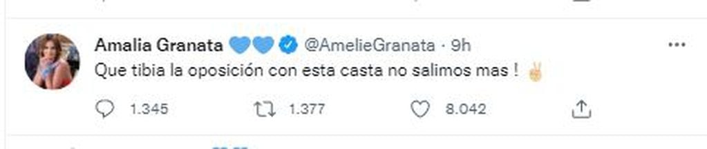 Amalia Granata dijo que el atentado a Cristina Kirchner fue una "pantomima".