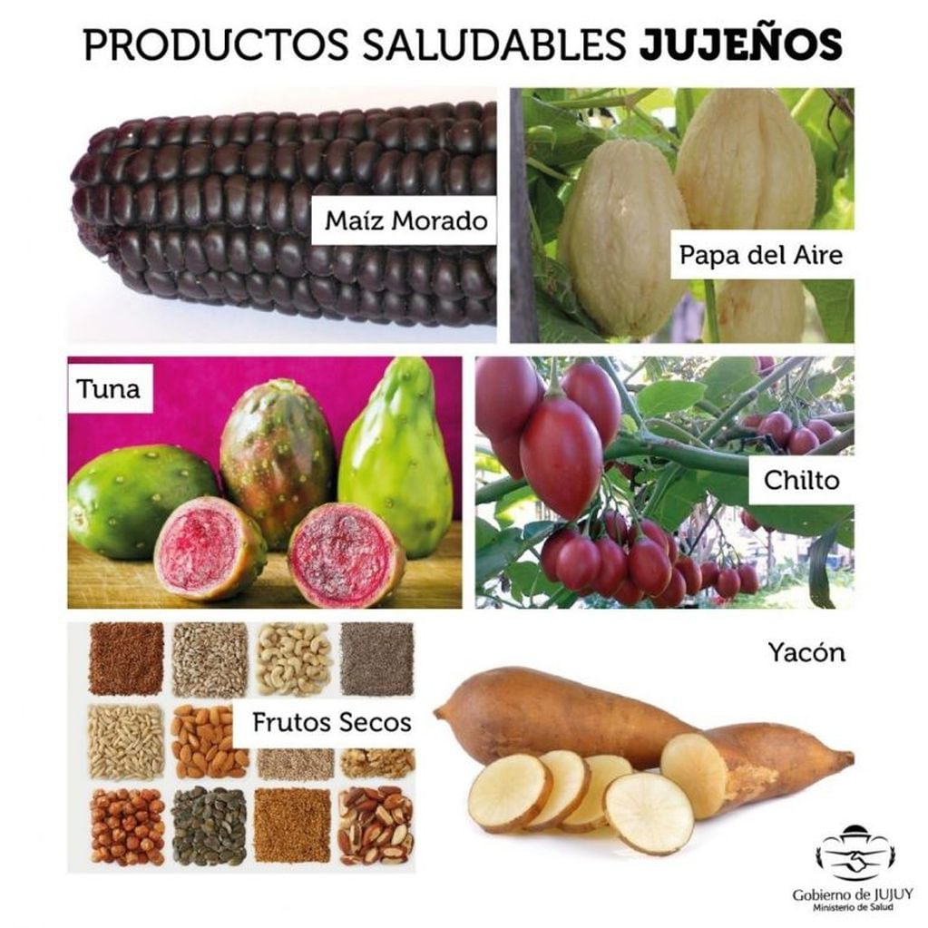 Gráfica que destaca algunos de los productos de la agricultura jujeña, aptos para incluir en una dieta saludable.