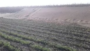 Increíble: se robaron 90 toneladas de soja de un campo en el sur de Córdoba