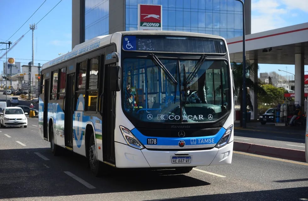 Transporte publico de pasajeros, colectivos y trolebuses de la empresa municipal Tamse.  (Nicolás Bravo)