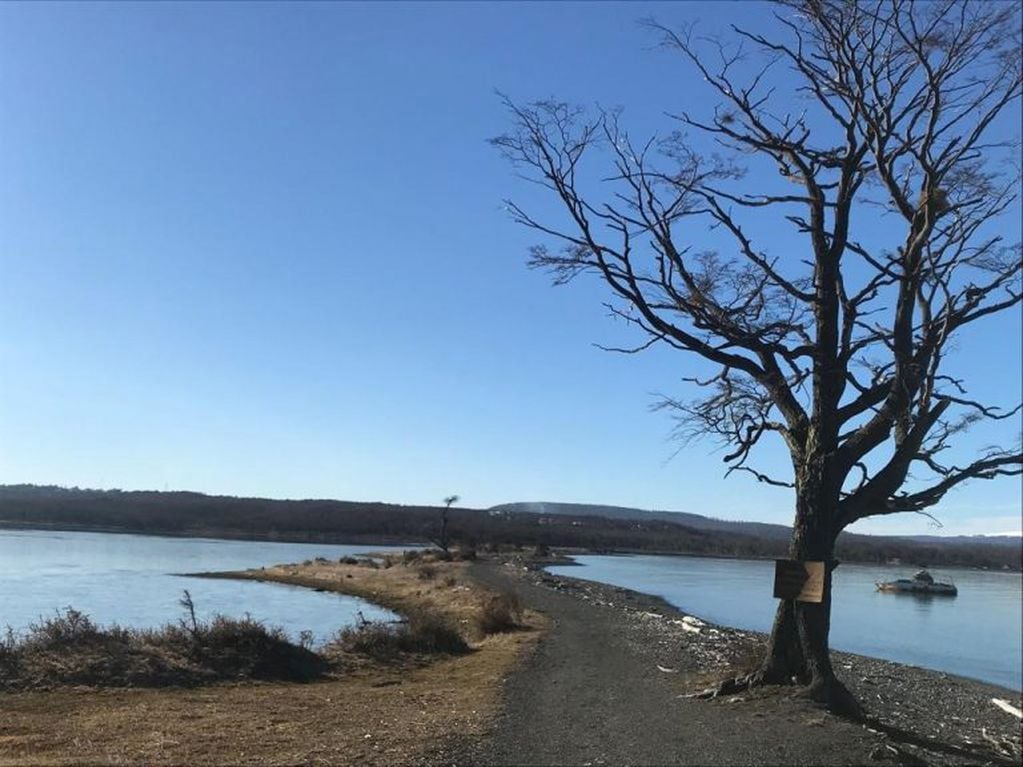 Laguna Varela y lago Fagnano