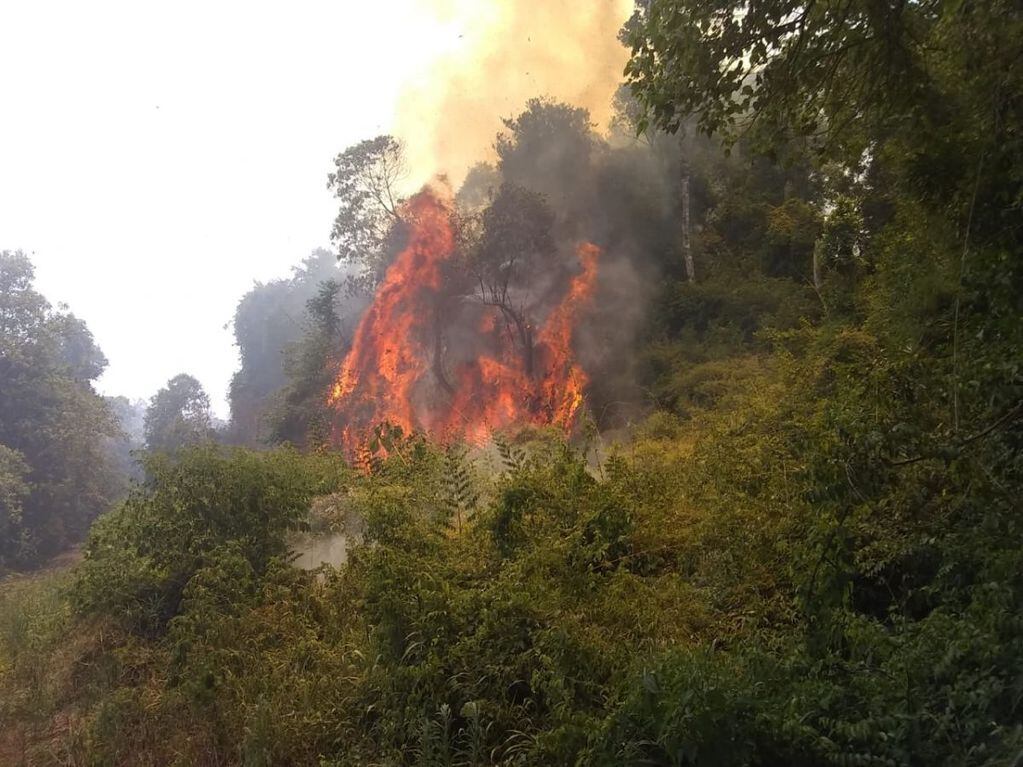 Continúan los incendios en Andresito y sumaron un helicóptero para combatirlos.