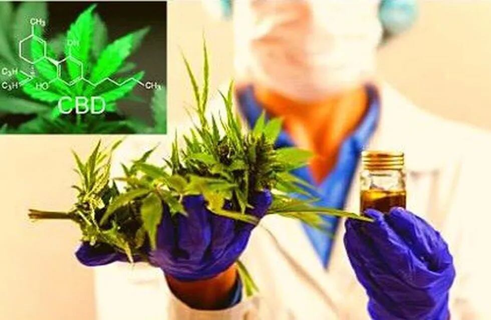 Jornada sobre Cannabis Medicinal\nCrédito: UNER