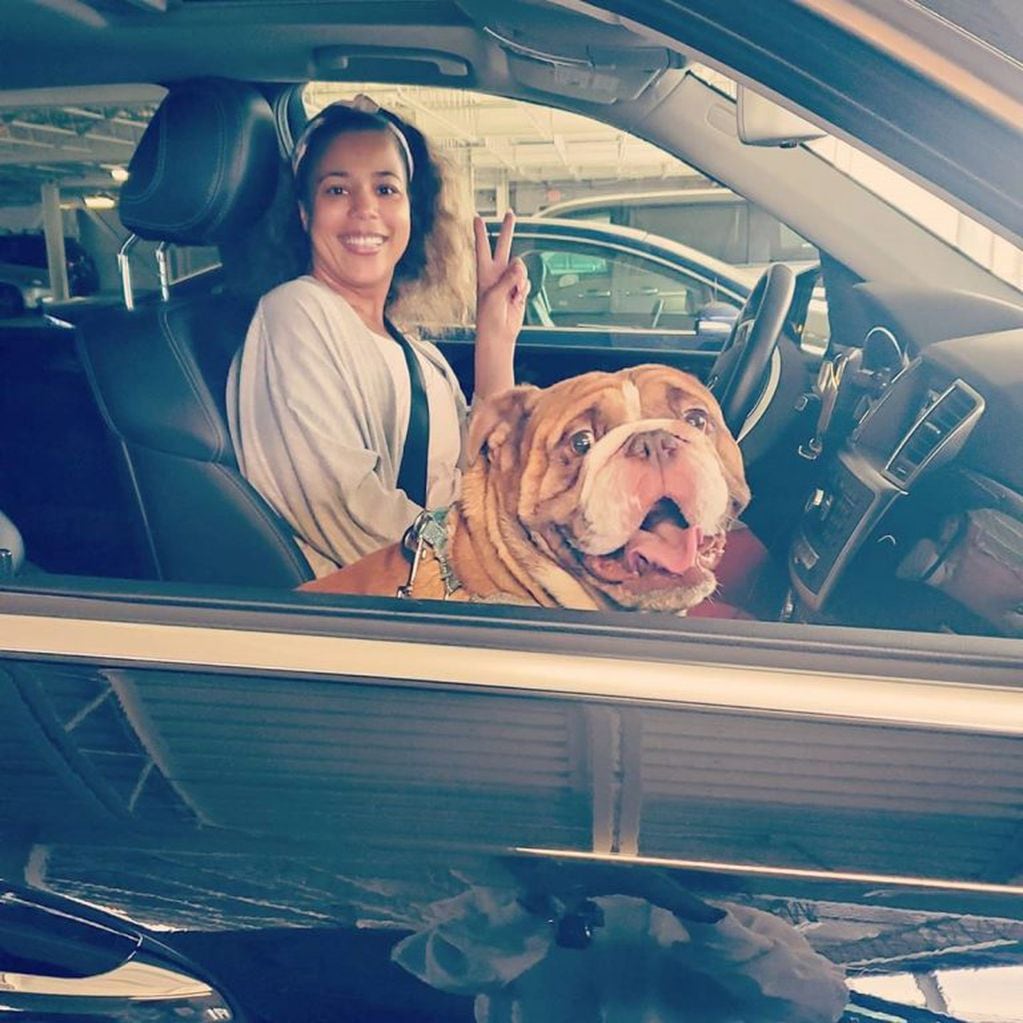 El canino con su dueña antes de la cuarentena (Instagram/@popthebulldog)