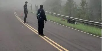 Motociclista herido tras chocar contra un animal en Montón Grande