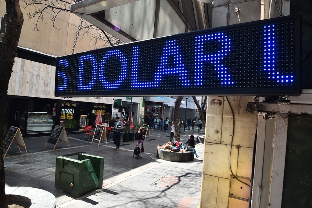 Dólar. Foto: Pedro Castillo