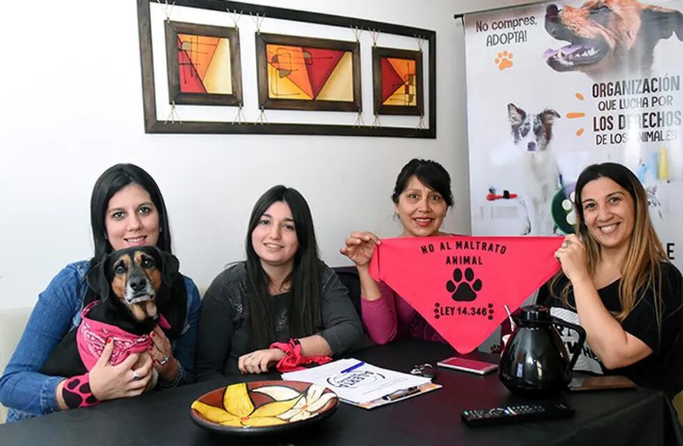 Protectoras de Viedma denunciaron violencia hacia perros de la calle