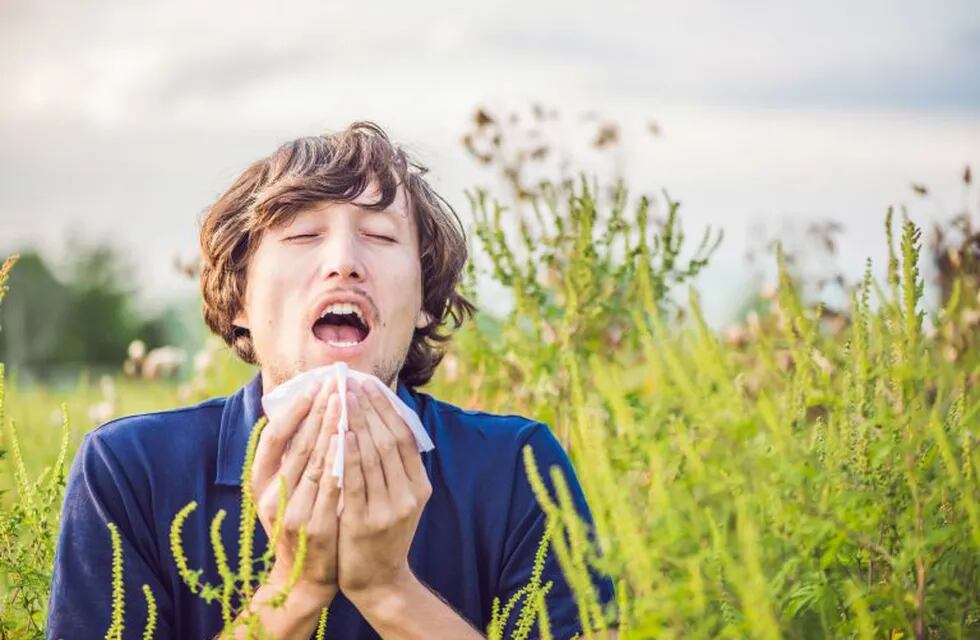 Young man sneezes because of an allergy to ragweed.