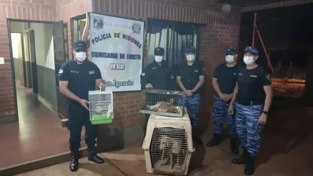 La policía rescató animales maltratados de una vivienda en Loreto