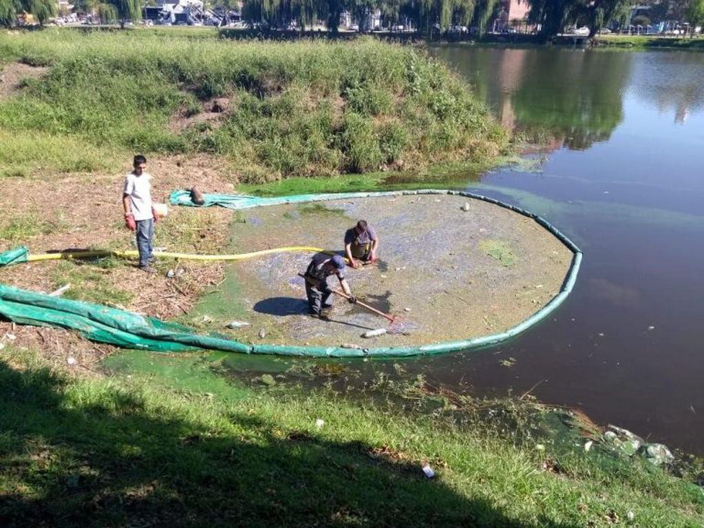 Trabajos desde el municipio para combatir las algas en el lago San Roque. (Foto: Municipal).