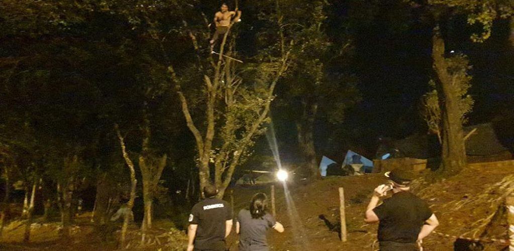Eldorado: un hombre estuvo cuatro horas trepado a un árbol amenazando con suicidarse.