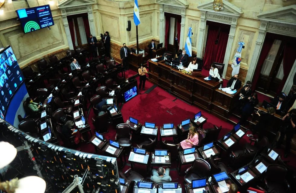 Sesión en el Senado - Foto: Clarín