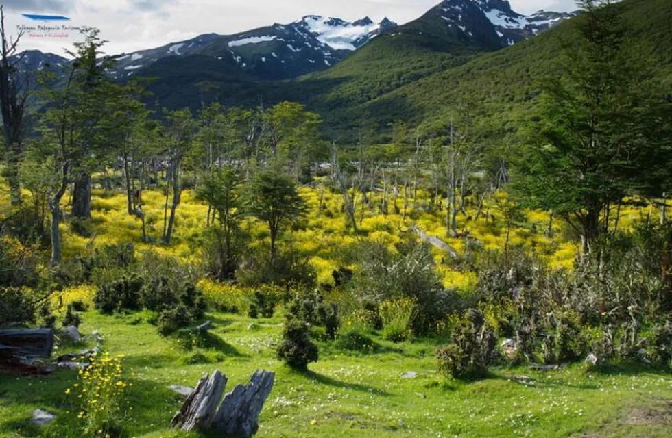 Parque Nacional Tierra del Fuego