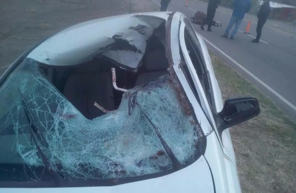 Un auto chocó a un caballo en San Luis,