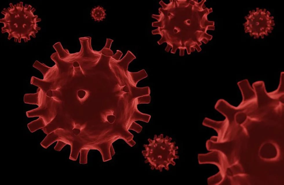 Coronavirus - Gualeguaychú alcanzó los 200 casos\nCrédito: Web