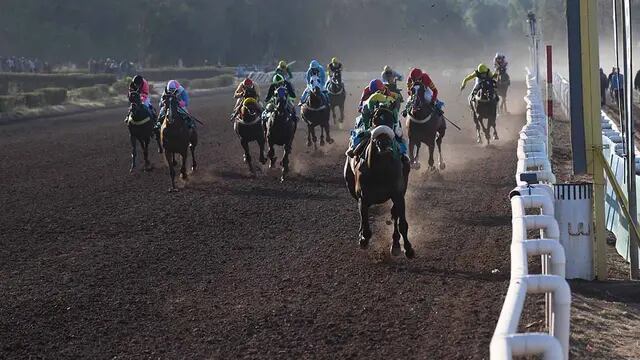 Carrera de caballos. Imagen ilustrativa.