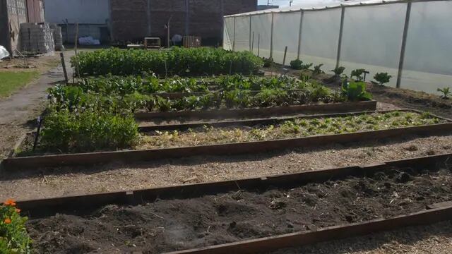 Huertas agroecológicas en Tandil